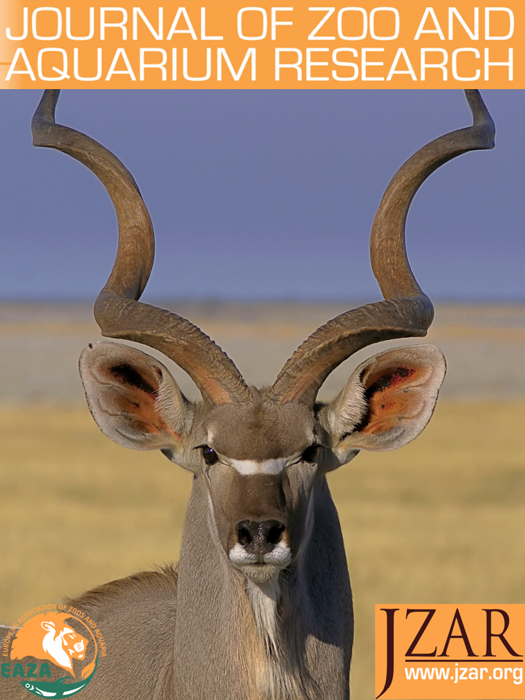 <i>Tragelaphus strepsiceros</i>