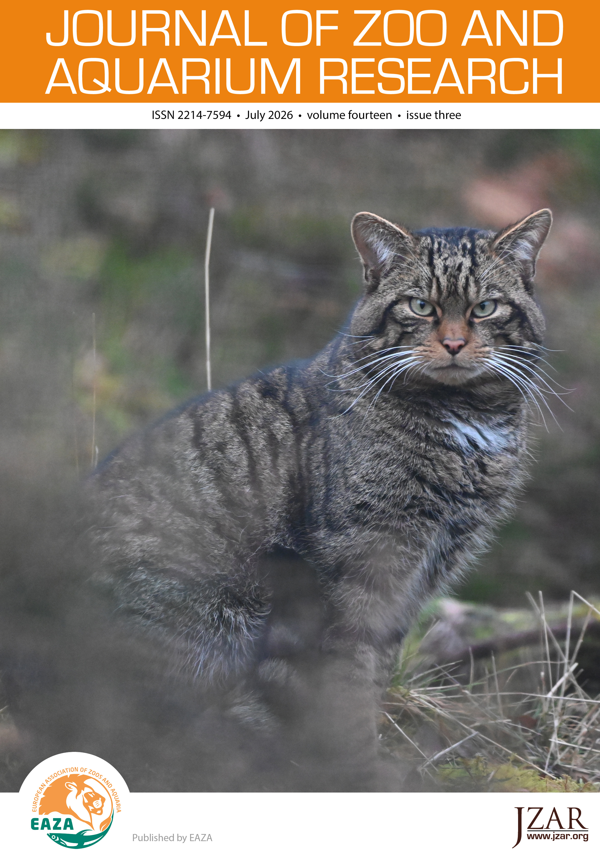 Front cover photo: Male wildcat at the Saving Wildcats Conservation Breeding for Release Centre. Ben Painter, Royal Zoological Society of Scotland, 2025
